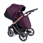 Πολυκαρότσι Coletto Dante 3 in 1 D-12