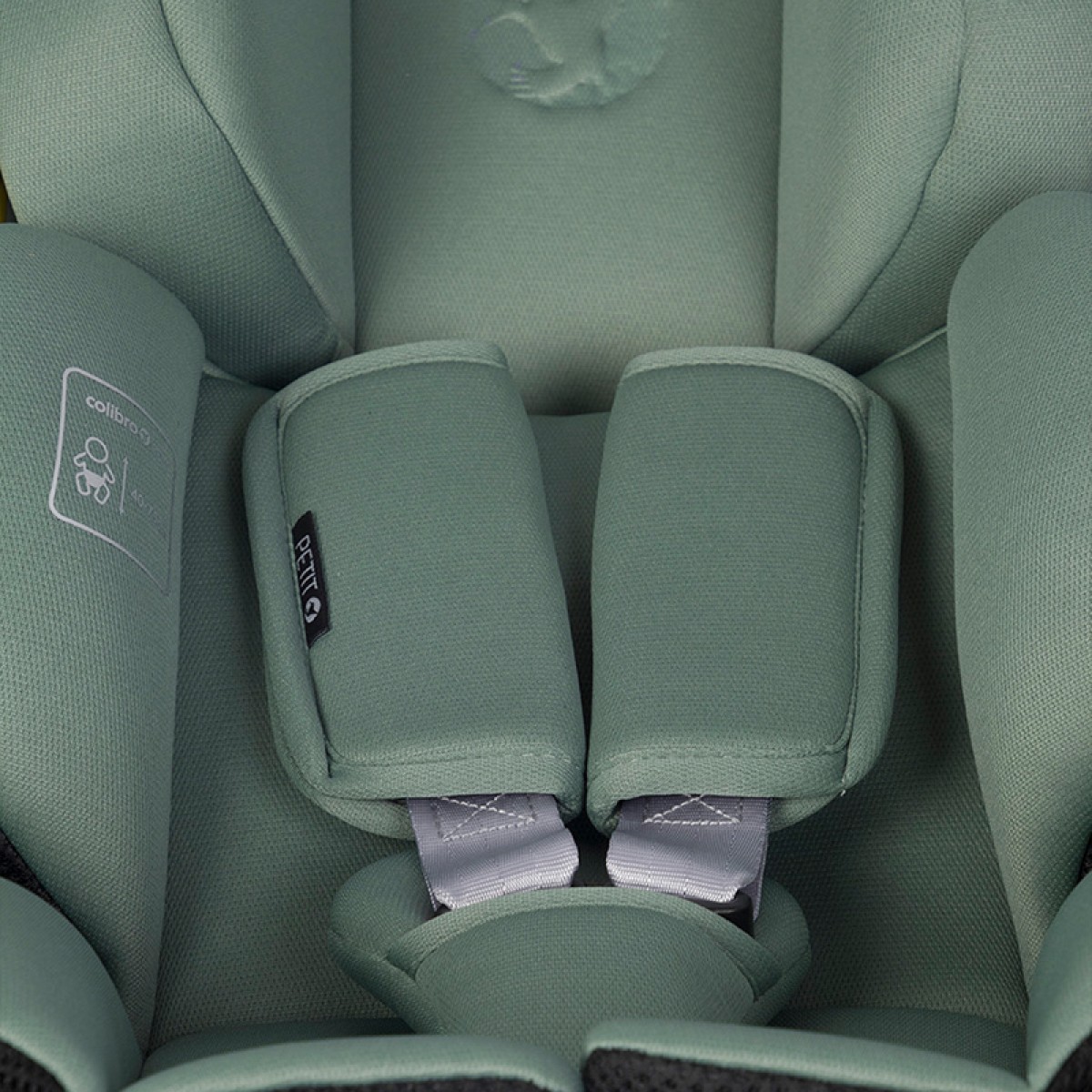 Κάθισμα Αυτοκινήτου Colibro i-SIZE 40-87cm Petit Pine