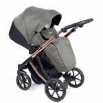 Πολυκαρότσι Coletto Dante 3 in 1 D-20